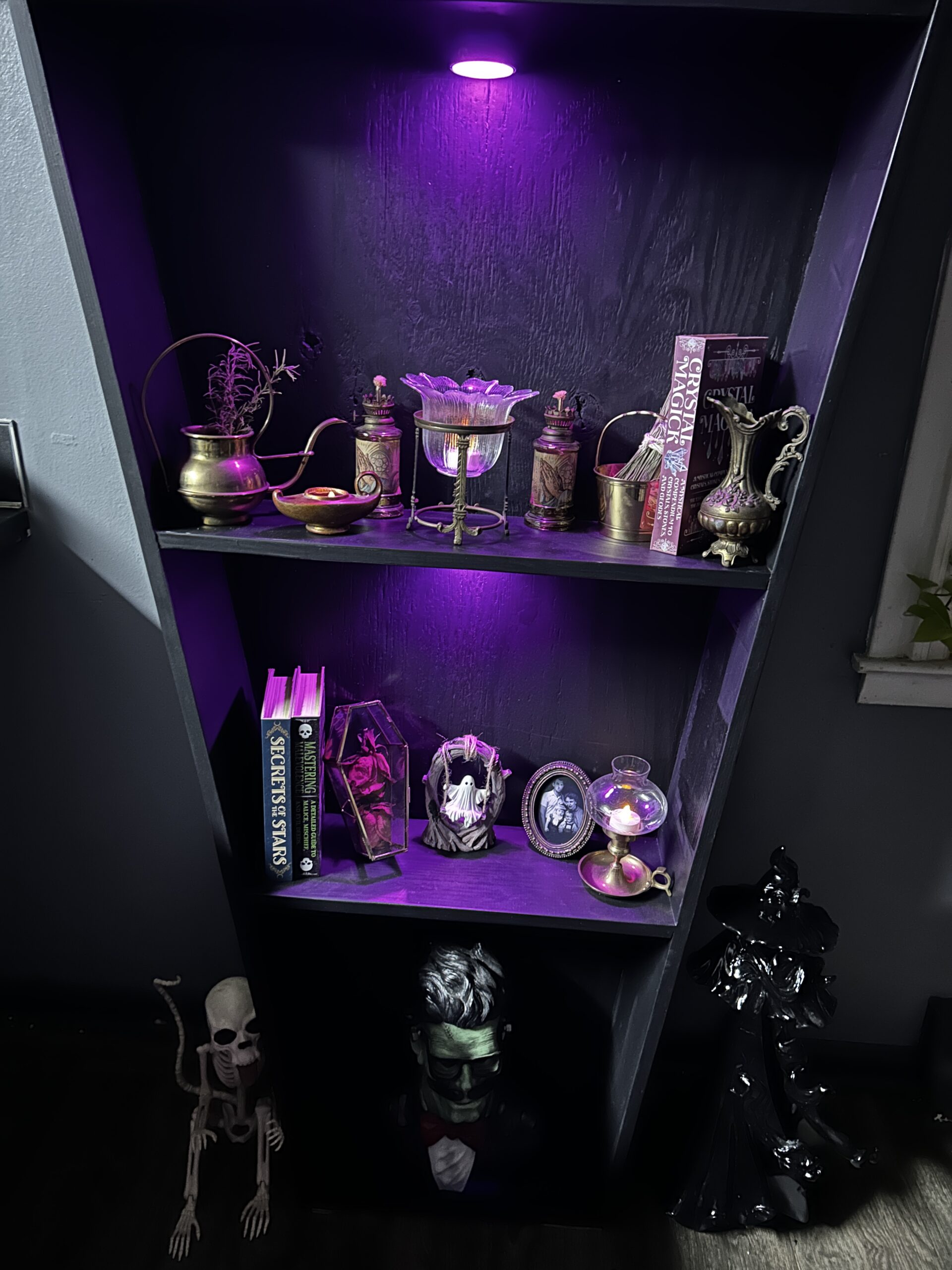 ⚰️ The Last Word Bookshelf: Coffin Edition ⚰️- LOCAL PICKUP ONLY - Image 5